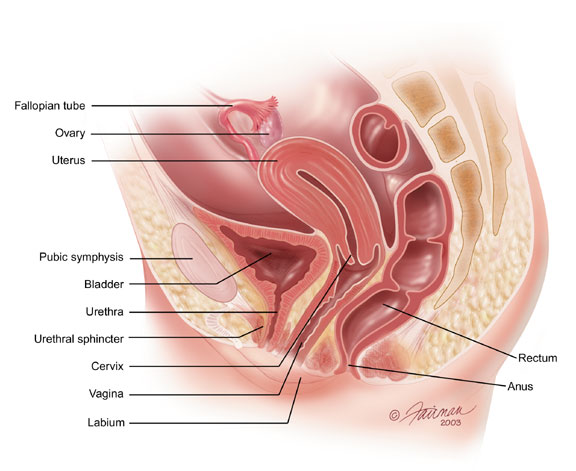 This information was provided by the Urology Care Foundation on UrologyHealth.org as of September 2013.